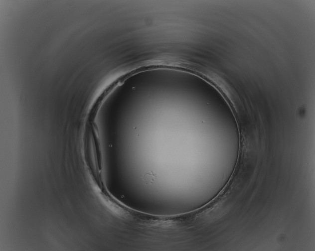 X0000093471131200710191139