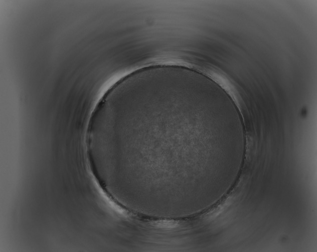 X0000093471141200710191139