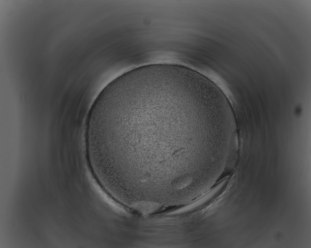 X0000093471142200710191139