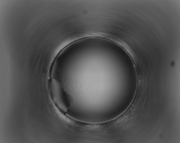 X0000093471143200710191139