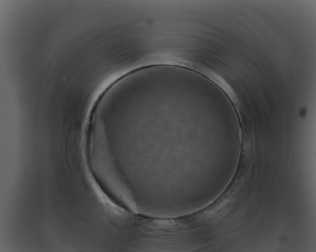 X0000093471144200710191139