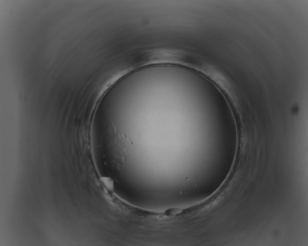 X0000093471145200710191139