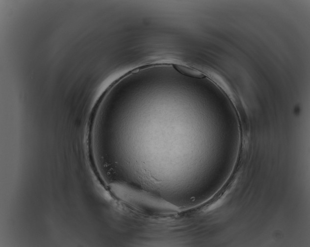 X0000093471149200710191139