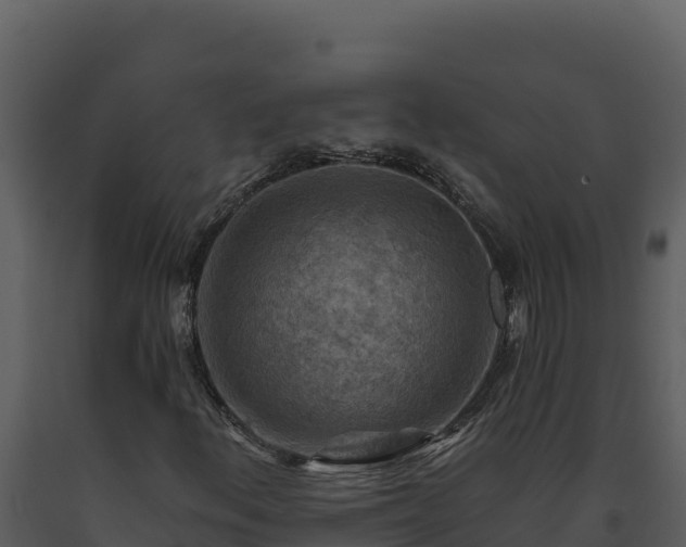 X0000093471156200710191139