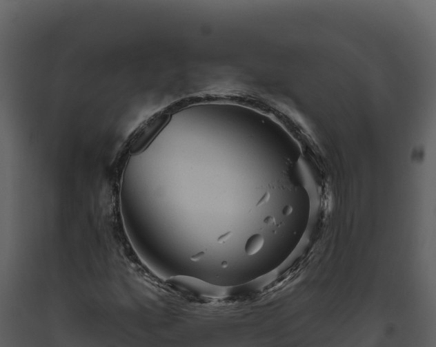 X0000093471160200710191139