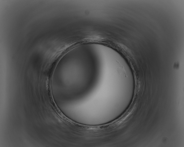 X0000093471161200710191139