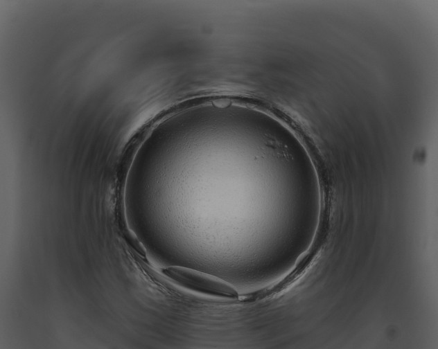 X0000093471163200710191139