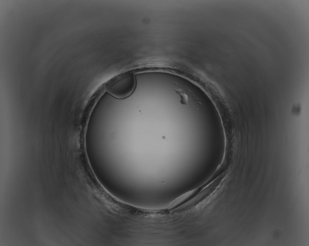 X0000093471166200710191139