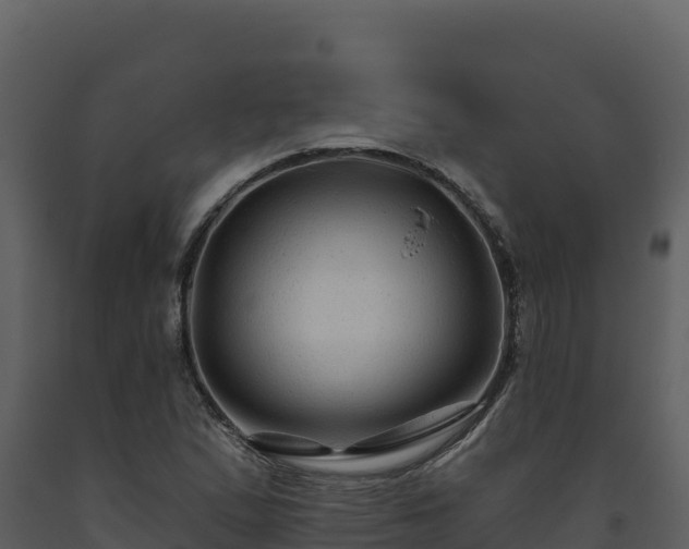 X0000093471167200710191139