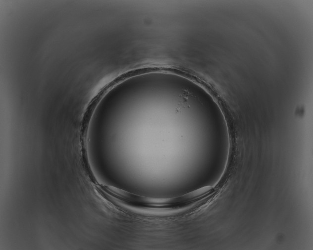 X0000093471168200710191139