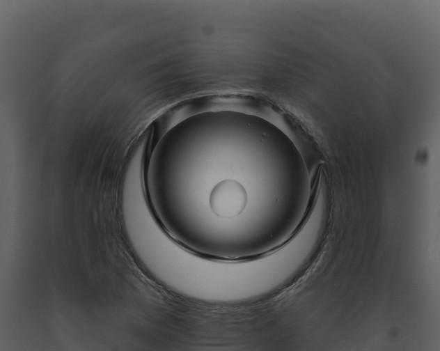 X0000093471169200710191139