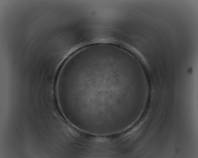 X0000093471170200710191139