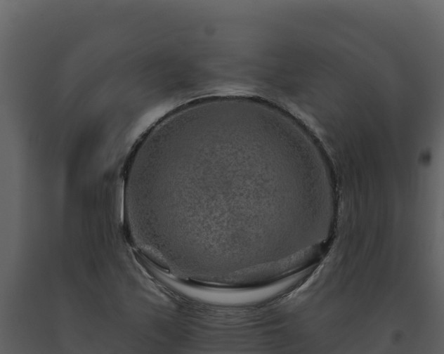 X0000093471171200710191139