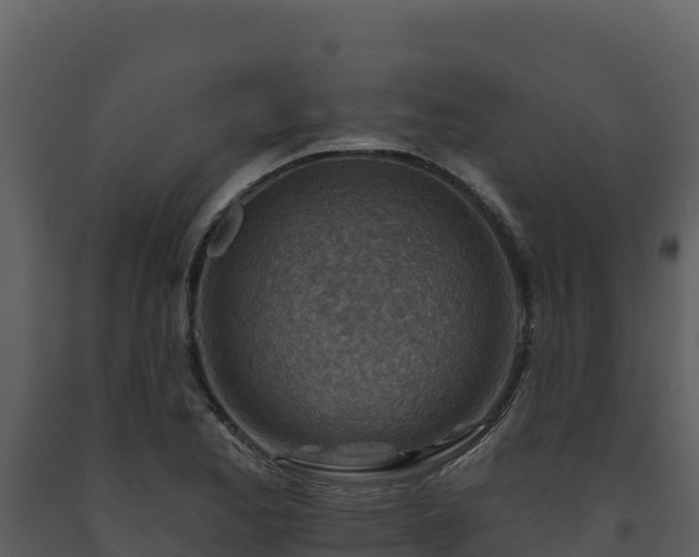 X0000093471173200710191139