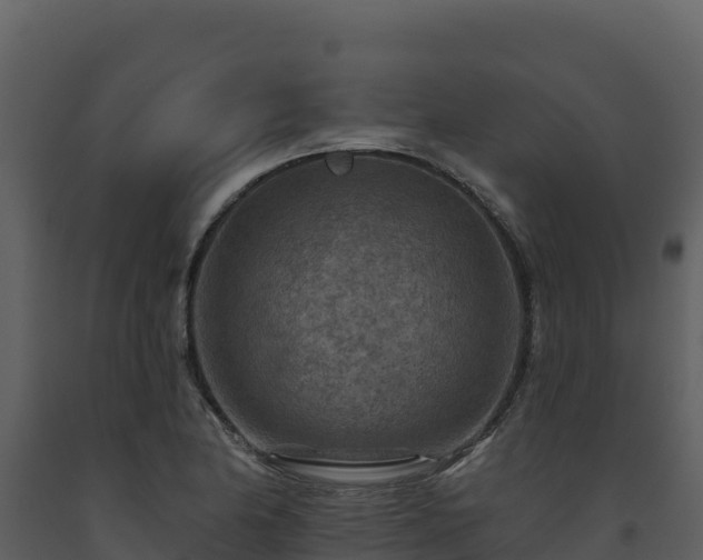 X0000093471174200710191139