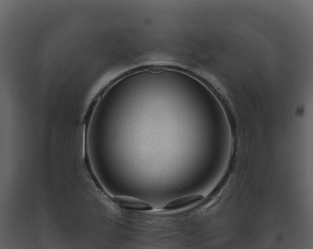 X0000093471175200710191139