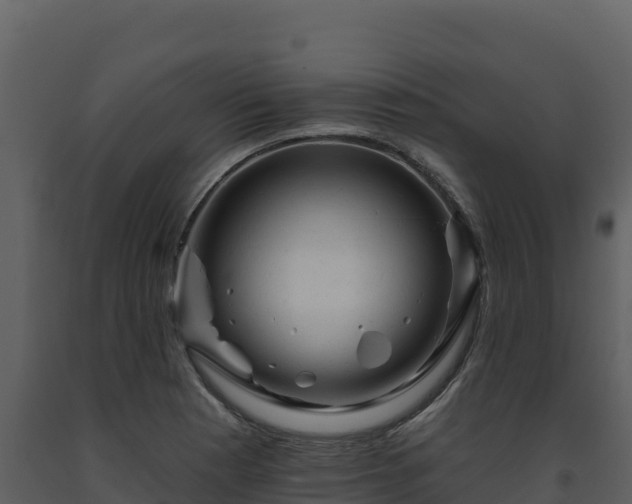 X0000093471177200710191139