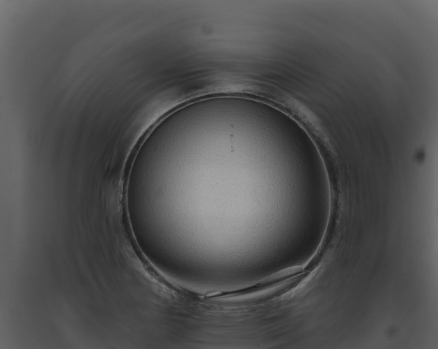 X0000093471178200710191139