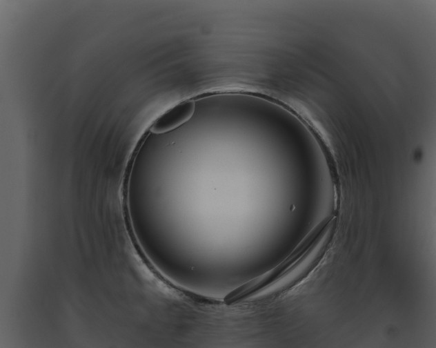 X0000093471189200710191138