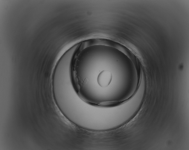 X0000093471192200710191138