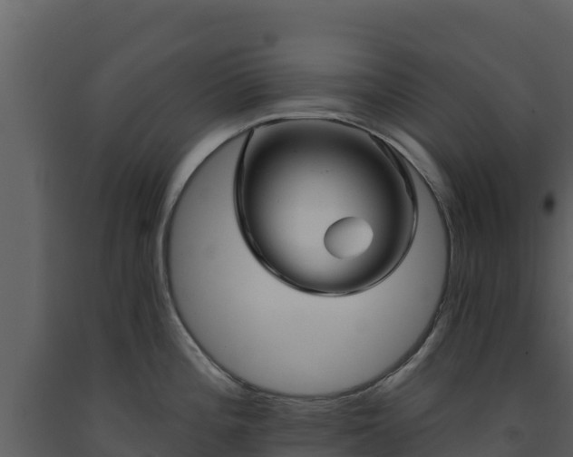 X0000093471196200710191138