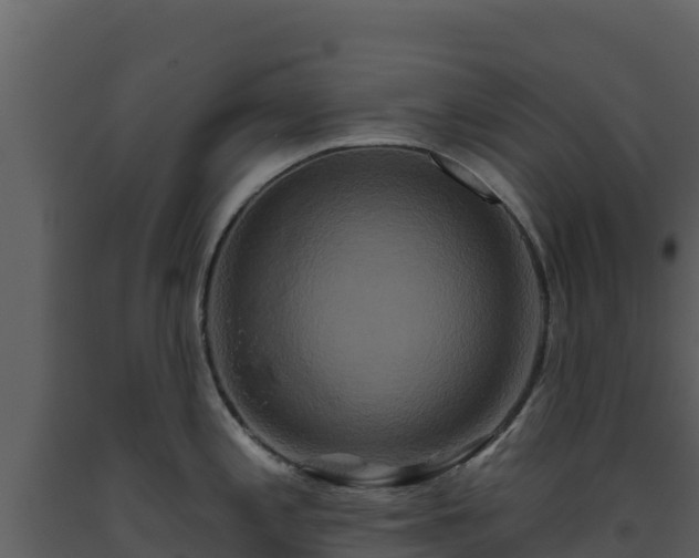 X0000093471197200710191138