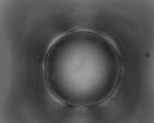 X0000093471198200710191138