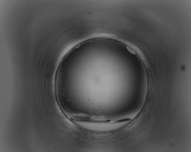 X0000093471199200710191138