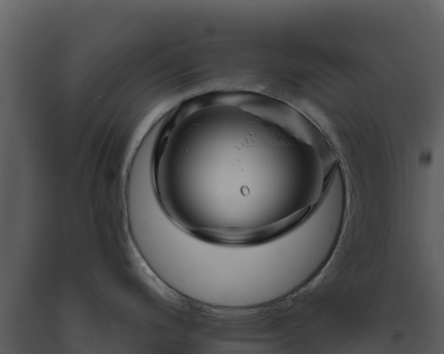 X0000093471200200710191138