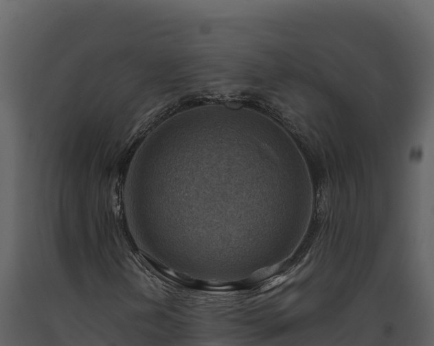 X0000093471202200710191138