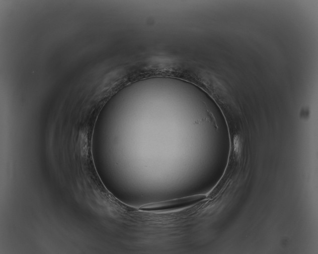 X0000093471203200710191138