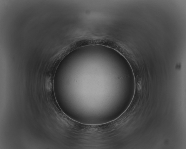 X0000093471204200710191138