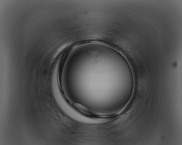 X0000093471210200710191138