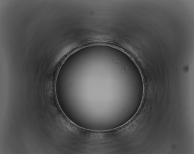 X0000093471211200710191138