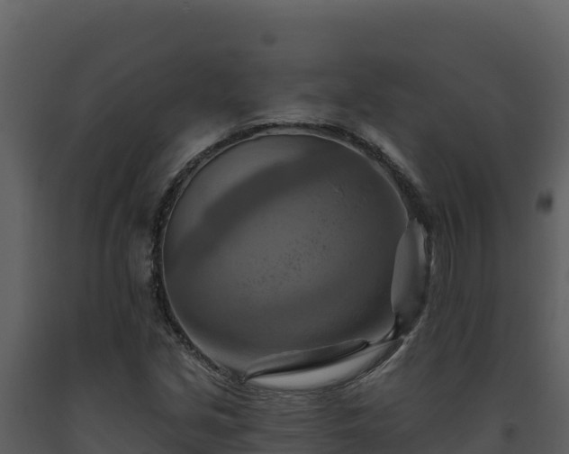 X0000093471213200710191138