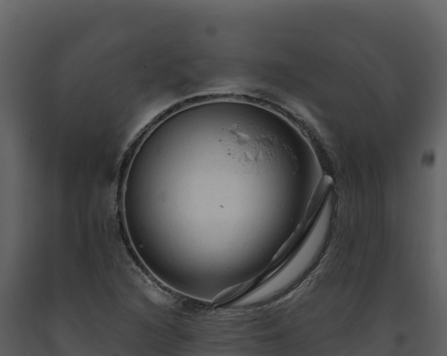 X0000093471216200710191138