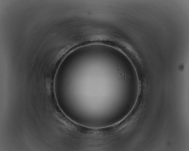 X0000093471217200710191138