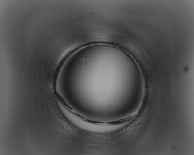 X0000093471218200710191138