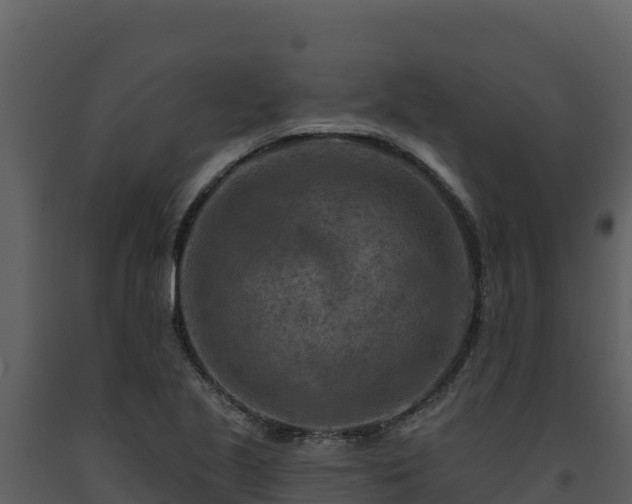 X0000093471221200710191138