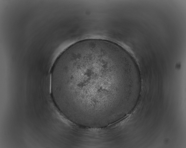 X0000093471223200710191138