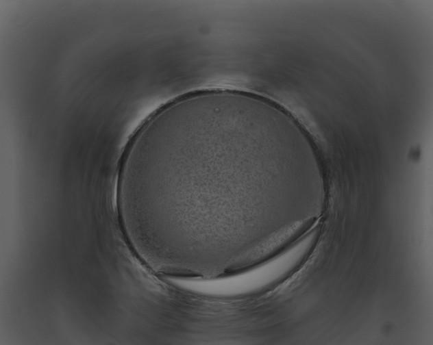 X0000093471224200710191138