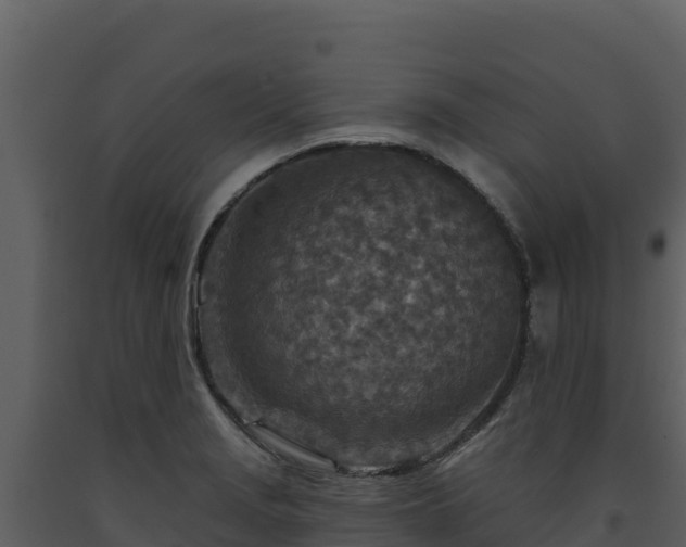 X0000093471229200710191138