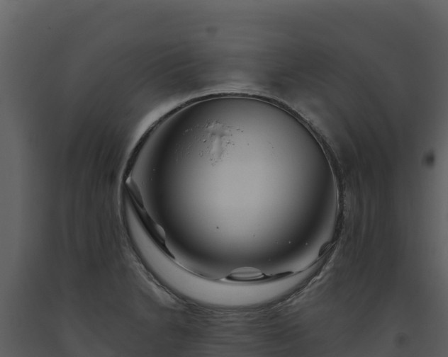 X0000093471230200710191138