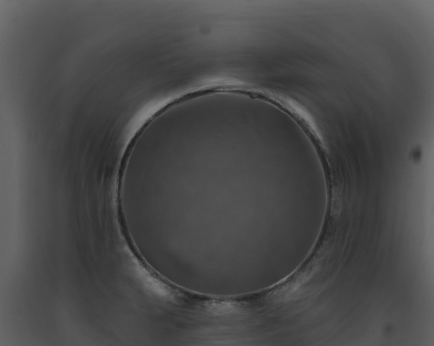 X0000093471231200710191138