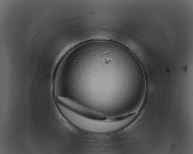 X0000093471232200710191138