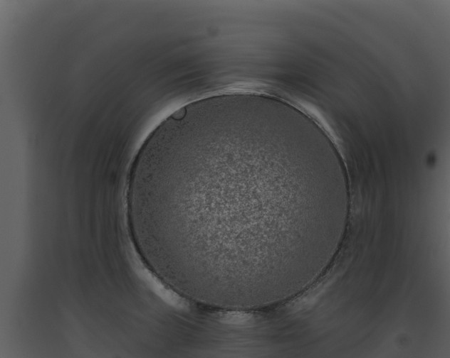 X0000093471235200710191138