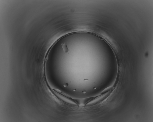 X0000093471236200710191138