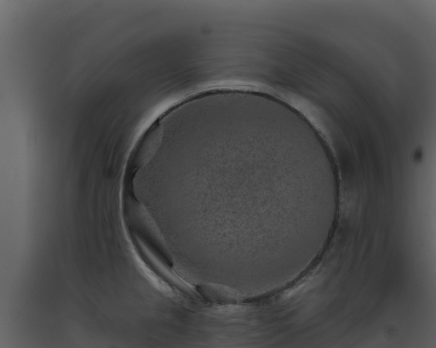 X0000093471237200710191138