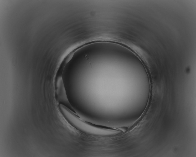 X0000093471238200710191138