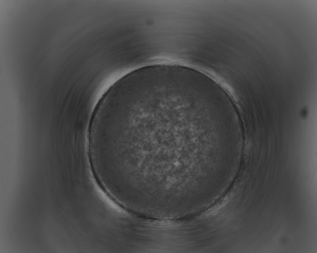 X0000093471239200710191138